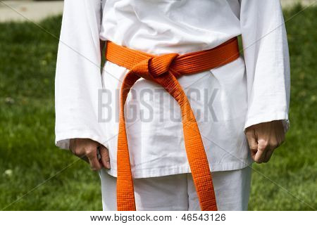 Tae Kwon Do