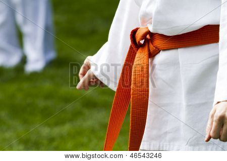 Tae Kwon Do