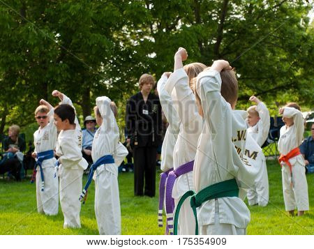 Taekwondo