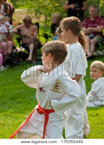 Taekwondo