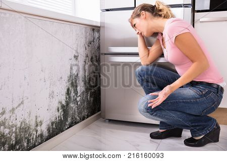 Close-up Of A Shocked Woman Looking At Mold On Wall