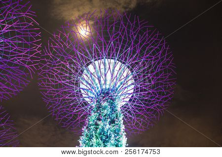 Gardens By The Bay In Singapore