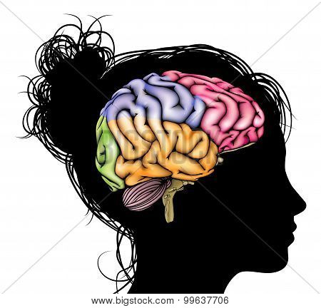 Woman Brain Concept