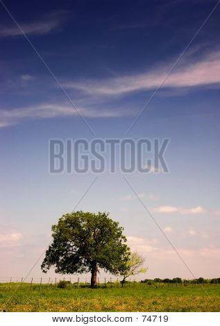 Blue Skies Of Texas