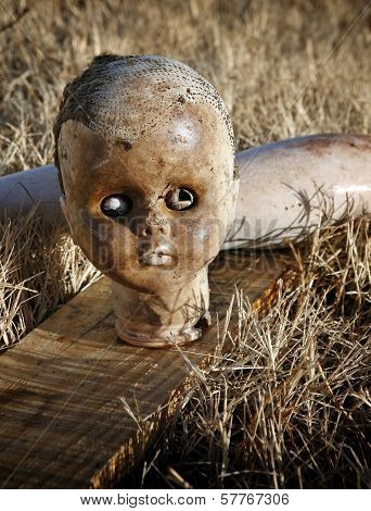 Abandoned doll