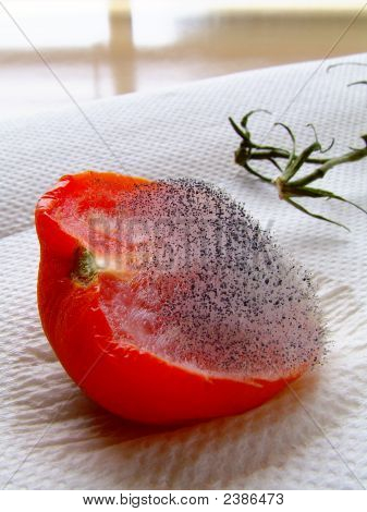 Half Tomato Turned Mouldy