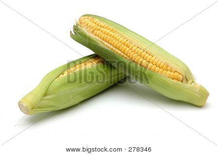 Corn In Cob 2