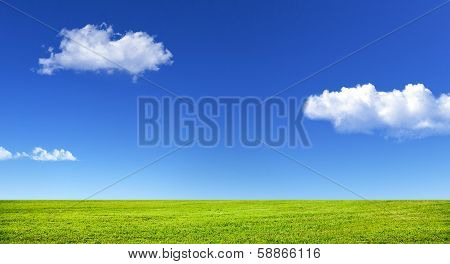 Green Grass And Blue Sky