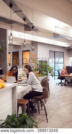 Two Young Businesswomen Working On Laptop In Kitchen Area Of Modern Office