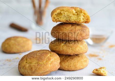 Freshly Baked Cinnamon Cookies, Snickerdoodle Cookies On Bright Background