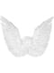 White Angel Wings