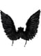 Black Angel Wings