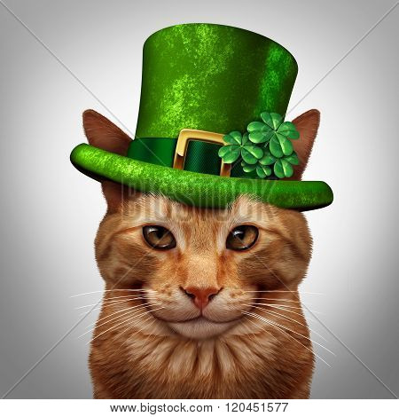 Saint Patricks Day Cat