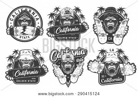 Vintage Monochrome Summer Skateboarding Labels With Angry Ferocious Gorilla Heads In Beanie Panama H