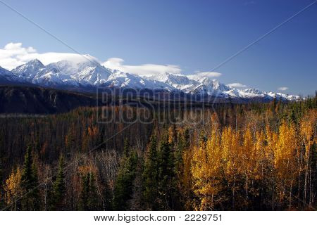 Fall In Alaska