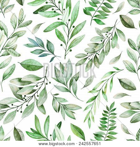 Watercolor Leaves Branch Seamless Pattern On White Background. Texture With Greens,branch,leaves,fol