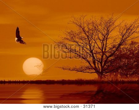 Volar como un águila