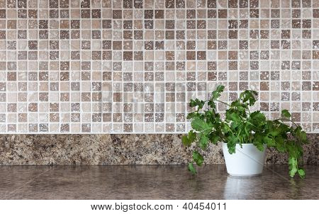 Green Herbs On Kitchen Countertop