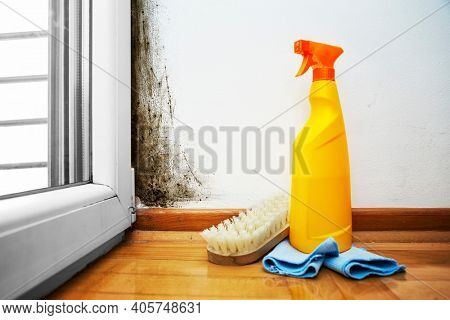 Preparation for mold removal -Black mould and fungus on wall near window, the problem of ventilation, dampness, cold in the apartment