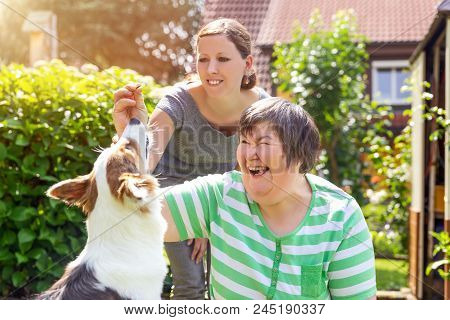 Mentally Disabled Woman With A Second Woman And A Companion Dog, Concept Learning By Animal Assisted