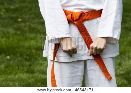 Tae Kwon Do