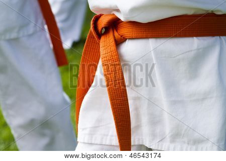 Tae Kwon Do