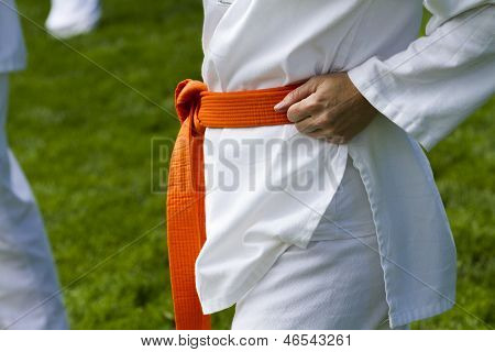 Tae Kwon Do