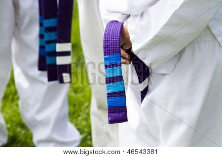 Tae Kwon Do