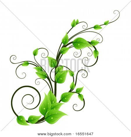 Floral design element