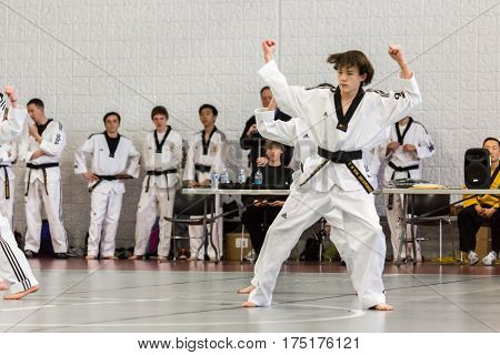 Tae Kwon Do