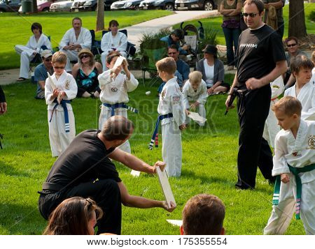 Taekwondo