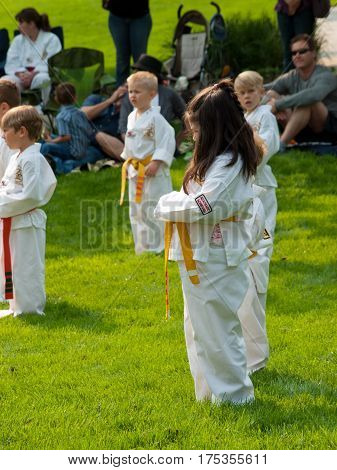 Taekwondo