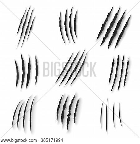 Claws Scratches Isolated Vector Wild Animal Nails Rip, Tiger, Bear Or Cat Paws Sherds On White Backg