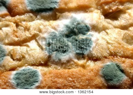 Close Up Of Moldy Bread