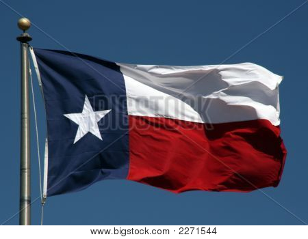 Texas Flag