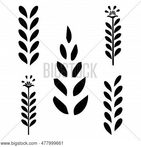 Graphic Elements Of Garden Sprigs Illustration In Vector. Hand Drawn Simple Quirky Floral Design.