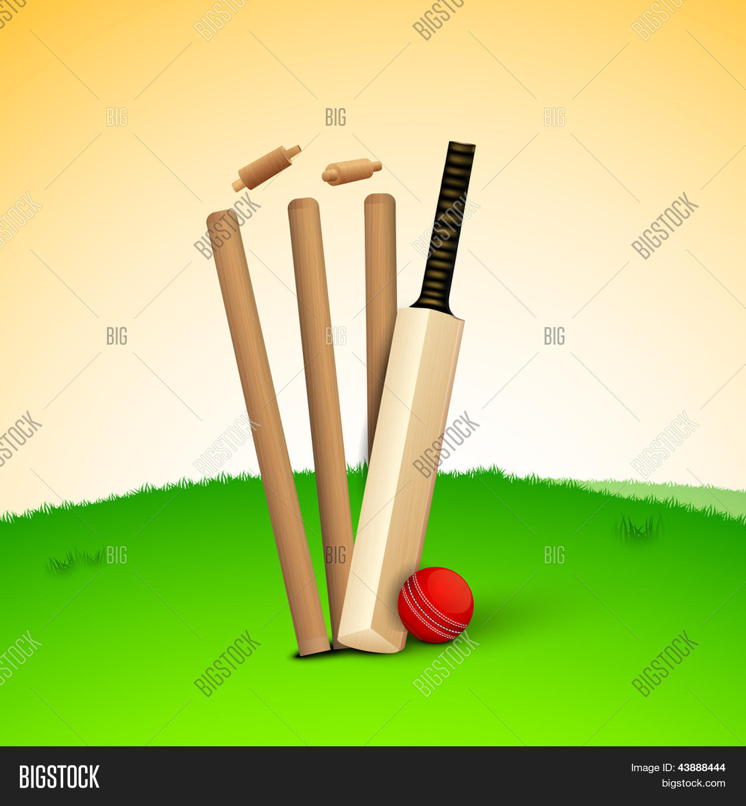 Illustration Cricket Vector & Photo (Free Trial) | Bigstock