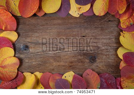 Autumn Leaf On A Wooden Board