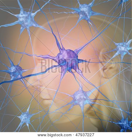 Human Neurons