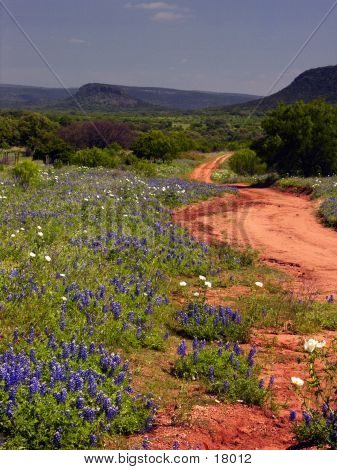 A Texas Clay Road