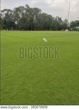 Green Grass Ground Image & Photo (Free Trial) | Bigstock