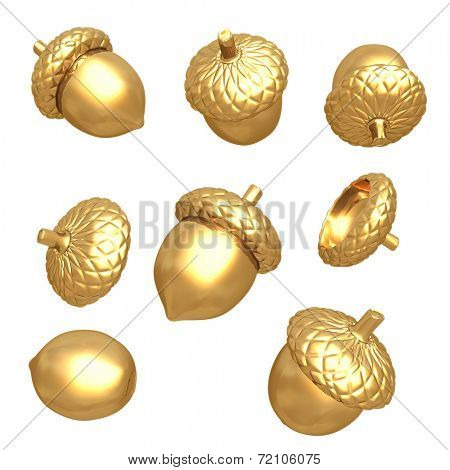 Gilded Acorns 3D