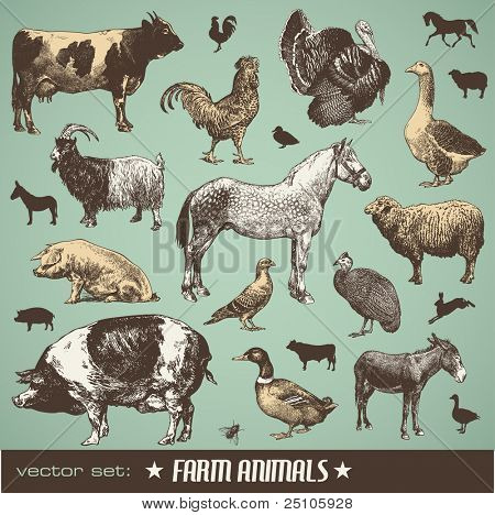 conjunto de vetores: animais - várias ilustrações de estilo retro da fazenda