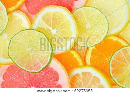 fresh Sliced citrus fruits background