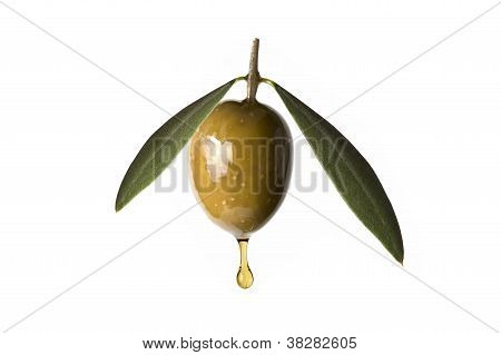 Aceituna verde con una gota de aceite cae.