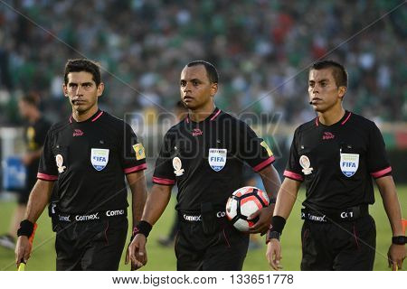 Referees During Copa America Centenario