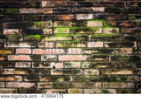 Graffiti Brick Wall, Colorful  Artwork Black Background