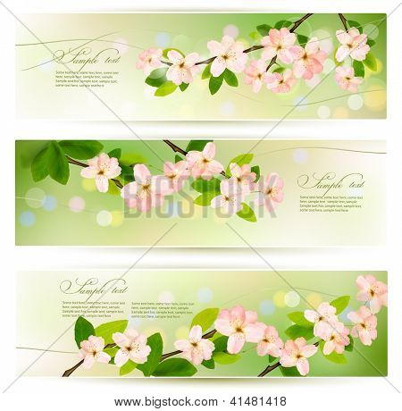 Três banners com florescimento brunch de árvore com flores de Primavera a Primavera. Ilustração vetorial.