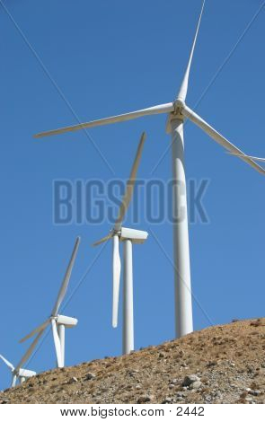 Molinos de viento