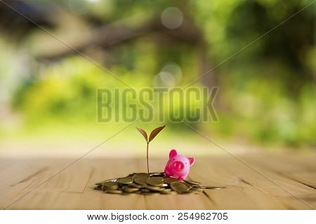 Coins On Wood And Houses That Represent Savings Or Investments To Buy A Home Or Loan. To Buy A House